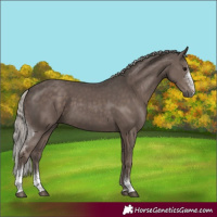 Horse Color:Silver Black Sabino Tobiano Rabicano 