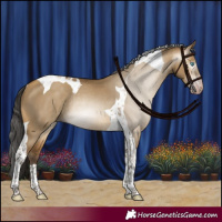 Horse Color:Gray Sable Cream Champagne Dun Tobiano Rabicano