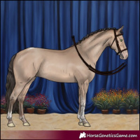 Horse Color:Amber Champagne Tobiano Rabicano 
