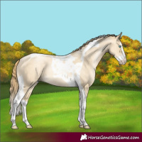 Horse Color:Sable Cream Champagne Pearl Splash Tobiano Rabicano 