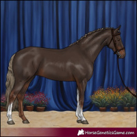 Horse Color:Liver Chestnut Tobiano Rabicano