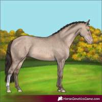 Horse Color:Sable Champagne Dun Tobiano Rabicano