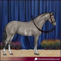 Horse Color:Grullo Sabino Tobiano Rabicano