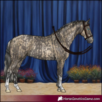 Horse Color:Silver Smoky Black Pearl Sabino Rabicano and Black Tobiano Rabicano