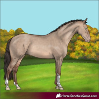 Horse Color:Sable Champagne Dun Tobiano Rabicano 