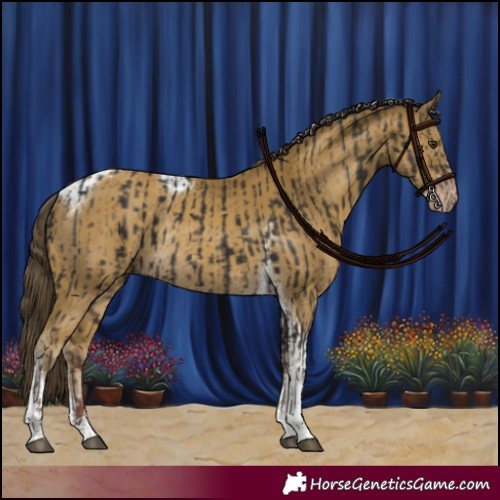 Horse Color:Liver Chestnut Tobiano Rabicano  and Classic Cream Champagne Tobiano Rabicano 
