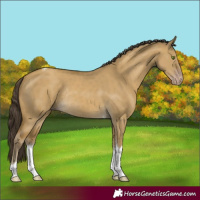 Horse Color:Classic Cream Champagne Dun Tobiano Rabicano