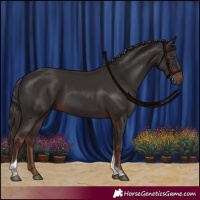 Horse Color:Liver Chestnut Tobiano Rabicano 