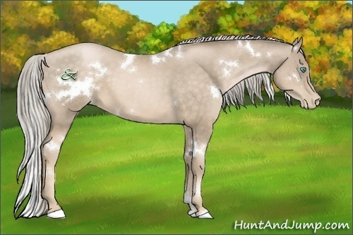 Horse Color:White Spotted Chocolate Palomino Pearl 