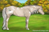 Horse Color:White Spotted Chocolate Palomino Pearl