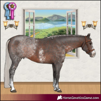 Horse Color:Silver Brown Sabino Rabicano 