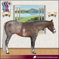 Horse Color:Silver Brown Sabino Rabicano