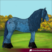 Horse Color:ERROR: UNKNOWN ANOMALY