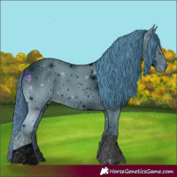 Horse Color:ERROR: UNKNOWN ANOMALY