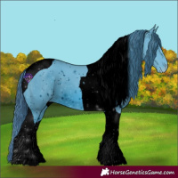 Horse Color:ERROR: UNKNOWN ANOMALY