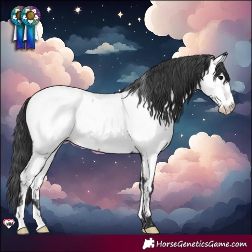 Horse Color:Black Near Fewspot 