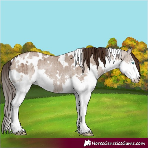 Horse Color:White Spotted Liver Red Dun Splash Rabicano Brindle 