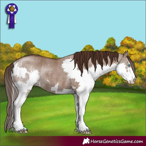 Horse Color:Liver Red Dun Splash Rabicano Brindle 