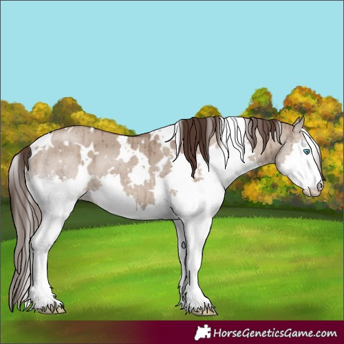 Horse Color:White Spotted Liver Red Dun Splash Brindle 