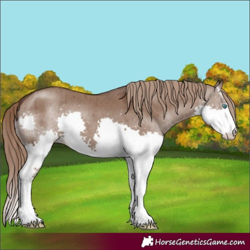 Horse Color:Liver Red Dun Splash Brindle 