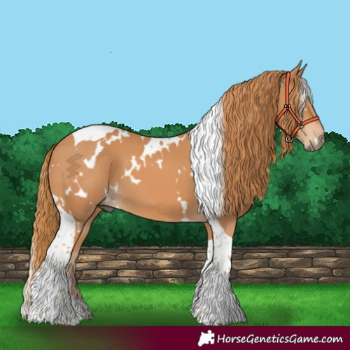 Horse Color:White Spotted Chestnut Tobiano 