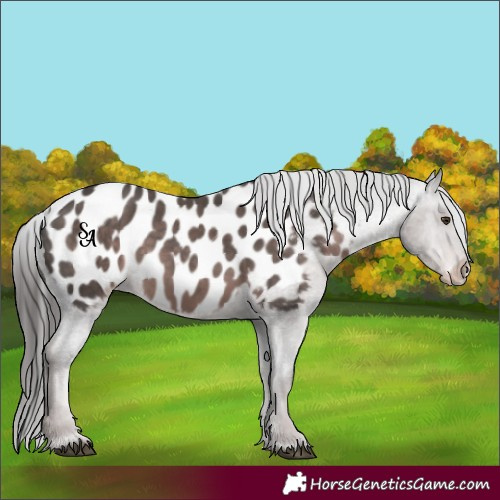 Horse Color:Platinum Liver Chestnut Blanket