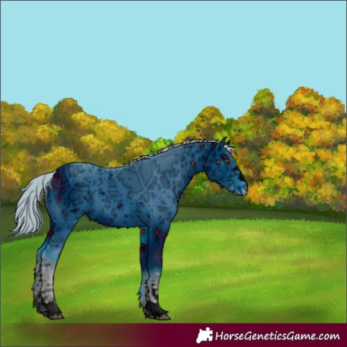 Horse Color:ERROR: UNKNOWN ANOMALY