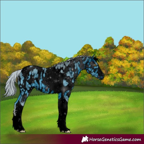 Horse Color:ERROR: UNKNOWN ANOMALY