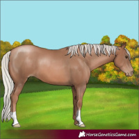 Horse Color:Silver Black Pearl 