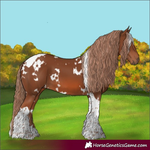 Horse Color:White Spotted Chestnut Tobiano 