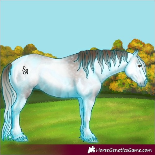 Horse Color:Gray Thunderstruck Chestnut Tobiano 
