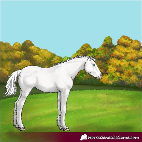 Horse Color:White Spotted Silver Smoky Creme Rabicano