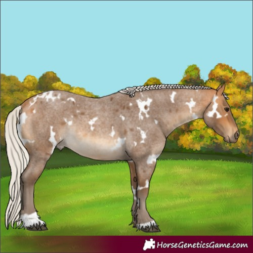 Horse Color:White Spotted Silver Buckskin Roan Rabicano 