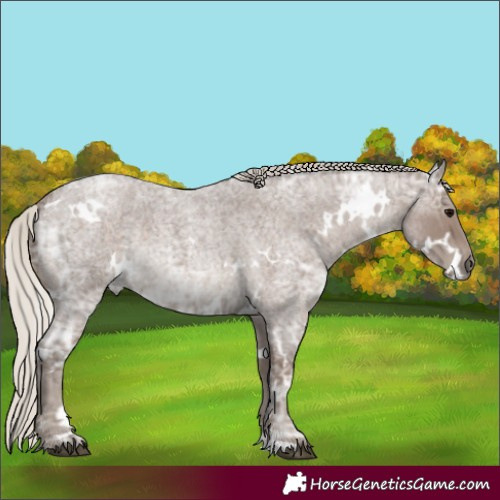 Horse Color:White Spotted Silver Blue Ice Roan Rabicano 