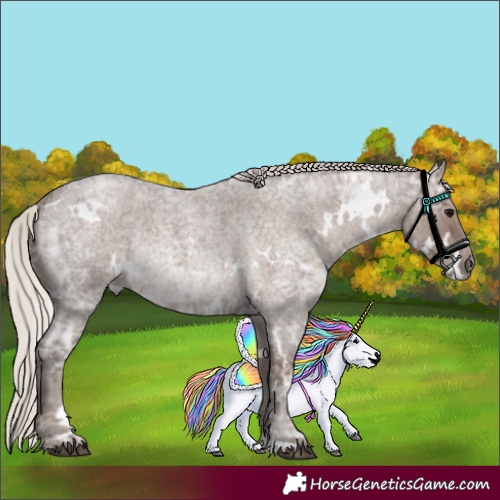 Horse Color:White Spotted Silver Blue Ice Roan Rabicano 