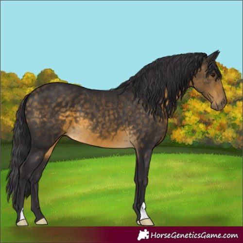 Horse Color:Buckskin