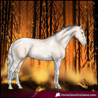 Horse Color:Gold Cream Champagne Pearl Tobiano Rabicano 