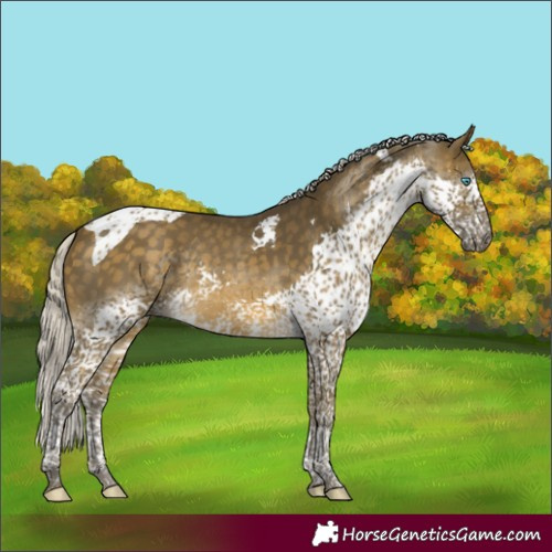 Horse Color:Silver Buckskin Splash Tobiano 