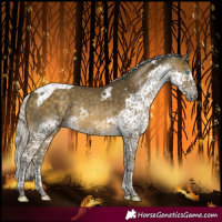 Horse Color:Silver Buckskin Splash Tobiano