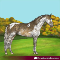 Horse Color:Silver Buckskin Splash Tobiano 