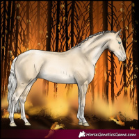 Horse Color:Silver Classic Cream Champagne Pearl Tobiano Rabicano 