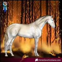 Horse Color:Buckskin Snowdrop Splash Tobiano Rabicano 