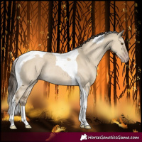 Horse Color:Classic Cream Champagne Dun Tobiano Rabicano
