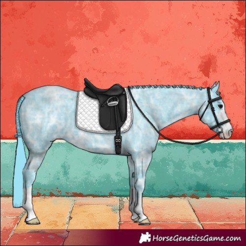 Horse Color:Watercolor Blue Ice Roan 