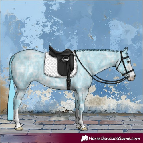 Horse Color:Watercolor Blue Ice Roan 