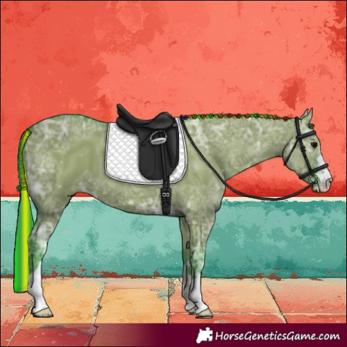 Horse Color:Painted Watercolor Grullo Ice 