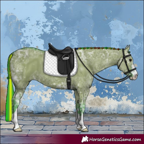 Horse Color:Painted Watercolor Grullo Ice 