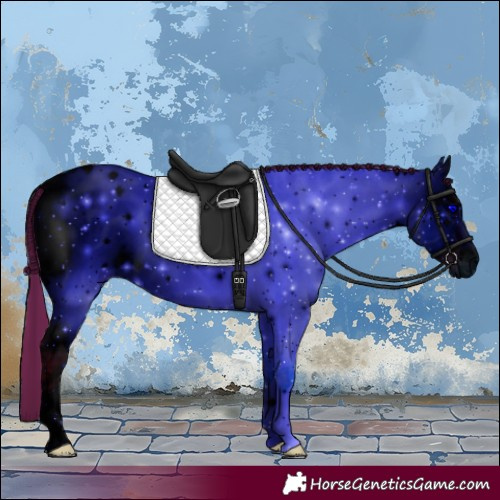 Horse Color:ERROR: UNKNOWN ANOMALY