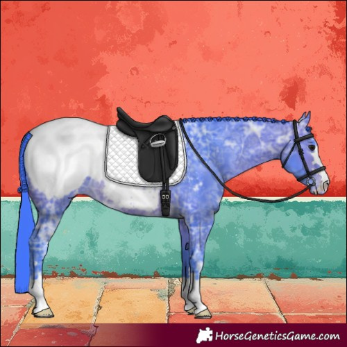 Horse Color:Watercolor Brown Ice Near Fewspot 