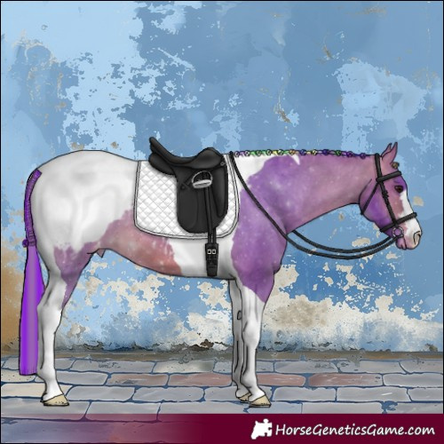 Horse Color:Painted Watercolor Brown Tobiano Appaloosa 